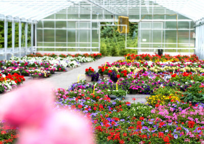 gartencenter-01