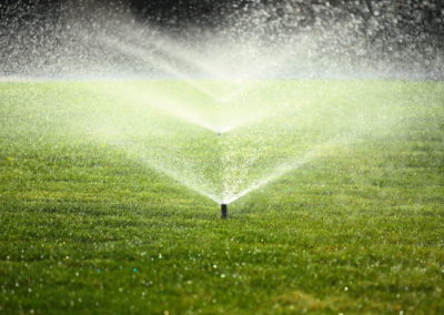 spruzzino-irrigazione_1
